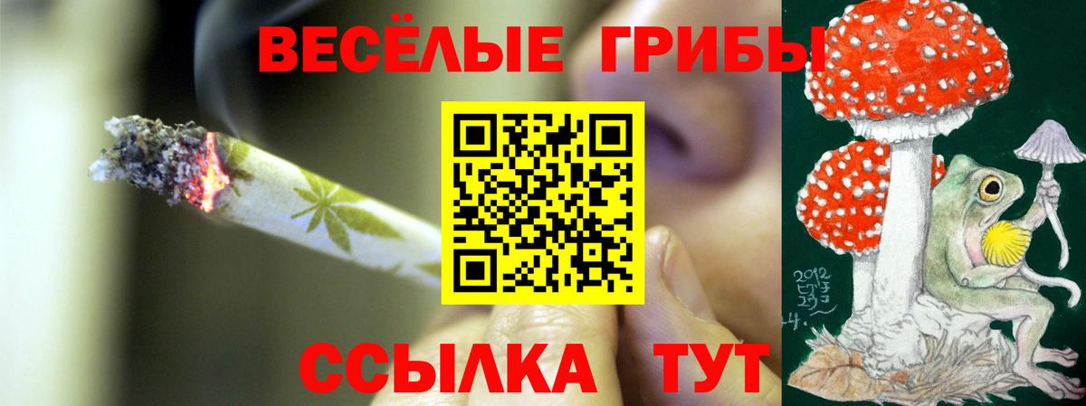 Галлюциногенные грибы мицелий Кубинка